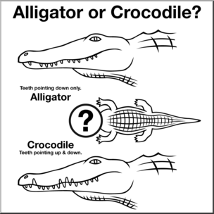 Clip Art: Alligator or Crocodile? 1 B&W