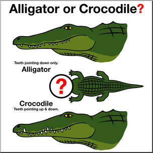 Clip Art: Alligator or Crocodile? 1 Color