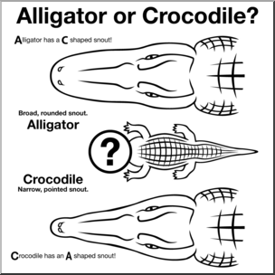 Clip Art: Alligator or Crocodile? 2 B&W