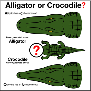 Clip Art: Alligator or Crocodile? 2 Color