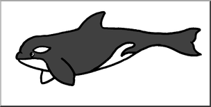Clip Art: Cute Killer Whale Color