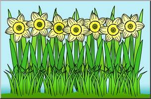 Clip Art: Daffodil Field Color