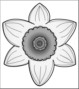 Clip Art: Daffodil Head 2 Grayscale 2
