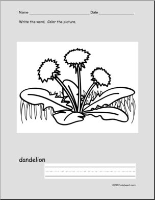 Write and Color “dandelion” (ESL)