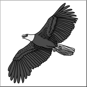 Clip Art: Bald Eagle 3 Grayscale