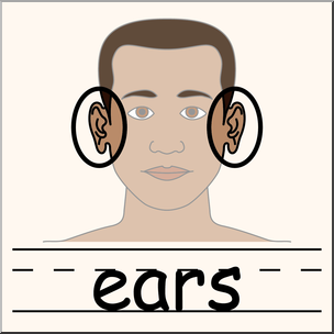 Clip Art: Parts of the Body: Ears Color