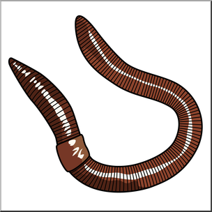 Clip Art: Earthworm Color 1