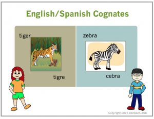 PowerPoint Presentation: Cognates: English/Spanish – Animals – Abcteach