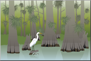 Clip Art: Everglades Cypress Swamp Color