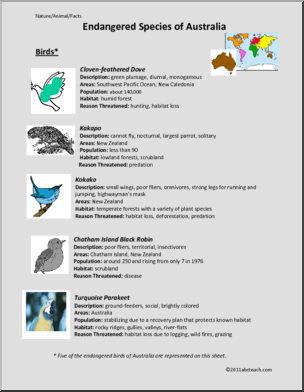 Fact Sheet: Endangered Birds of Australia (elem/upper elem/middle)