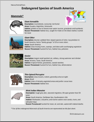 Fact Sheet: Endangered Mammals of South America (elem/upper elem/middle)