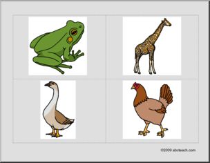 Flashcards: Animals–frog, giraffe, goose, hen (ESL)