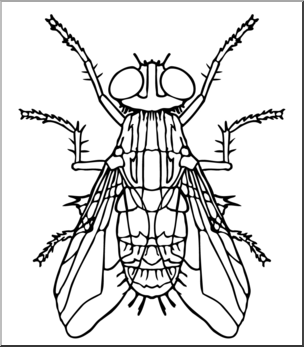 Clip Art: Insects: Housefly B&W