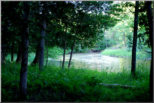 Photo: River 01 LowRes