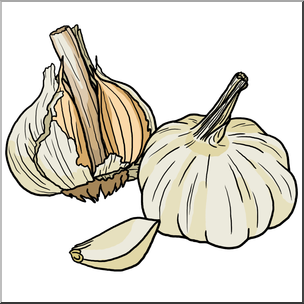 Clip Art: Garlic Color