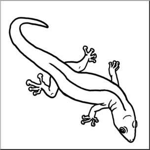 Clip Art: Gecko B&W