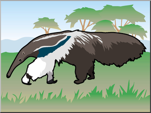 Clip Art: Giant Anteater Color 2