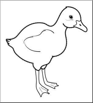 Clip Art: Baby Animals: Goose Gosling B&W