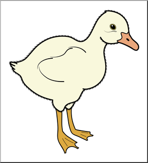 Clip Art: Baby Animals: Goose Gosling Color 1