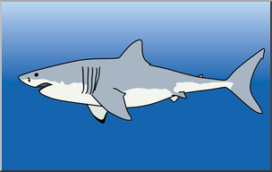 Clip Art: Sharks: Great White Color
