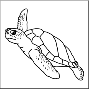 Clip Art: Green Sea Turtle B&W