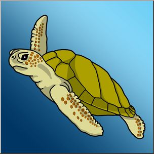 Clip Art: Green Sea Turtle Color