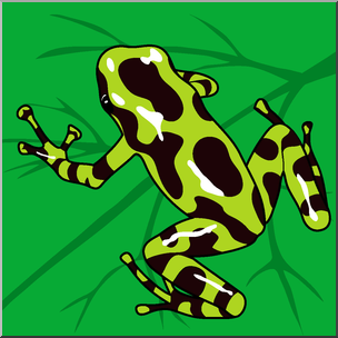 Clip Art: Frogs: Green & Black Poison Dart Frog Color 2