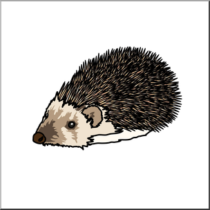 Clip Art: Hedgehog Color 2