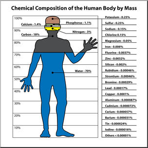 Clip Art: Human Body Chemical Composition Color