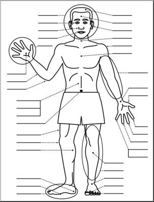 Clip Art: Human Body: Front View B&W Unlabeled