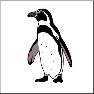 Clip Art: Penguin: Humboldt Color 2