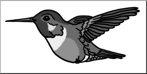 Clip Art: Hummingbird Grayscale