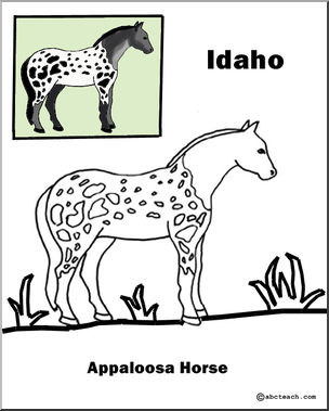 Idaho: State Animal  – Appaloosa Horse