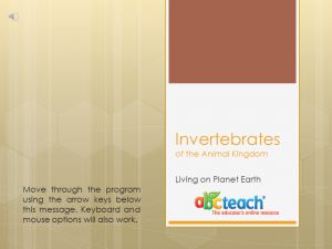 PowerPoint: Presentation with Audio: Animal Kingdom: Invertebrates (multi-age)
