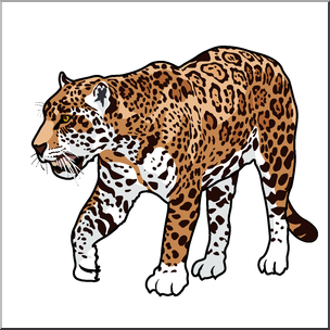 Clip Art: Big Cats: Jaguar Color 1