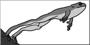 Clip Art: Frog Jumping Grayscale