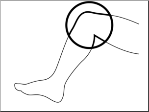 Clip Art: Parts of the Body: Knee B&W Unlabeled
