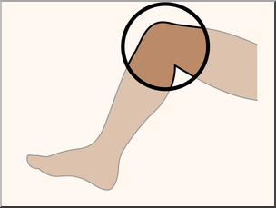 Clip Art: Parts of the Body: Knee Color Unlabeled