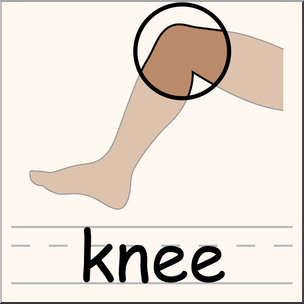 Clip Art: Parts of the Body: Knee Color