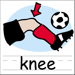 Clip Art: Basic Words: Knee Color Labeled