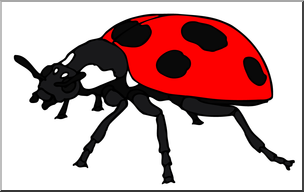 Clip Art: Insects: Ladybug Color
