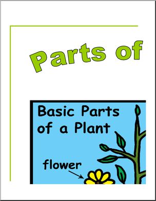 Large Poster: Parts of a Plant (labeled)