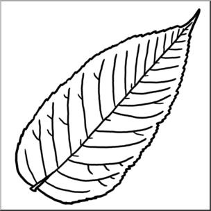 Clip Art: Leaf: Ash B&W