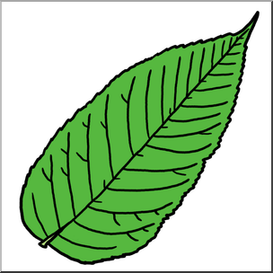 Clip Art: Leaf: Ash Color