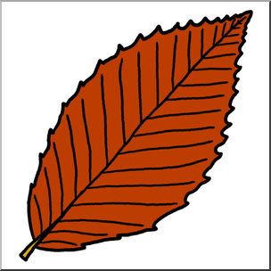 Clip Art: Leaf: Beech Autumn Color