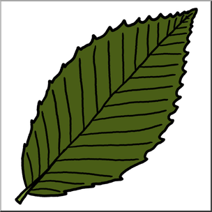 Clip Art: Leaf: Beech Color