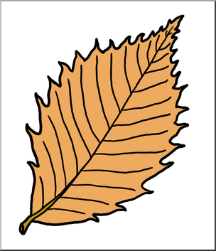 Clip Art: Leaf: Chestnut Autumn Color