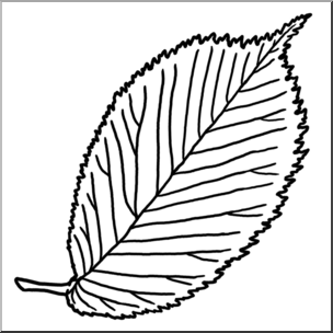 Clip Art: Leaf: Elm B&W