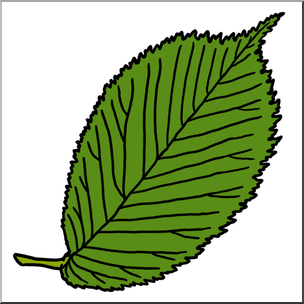 Clip Art: Leaf: Elm Color