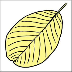Clip Art: Leaf: English Walnut Autumn Color